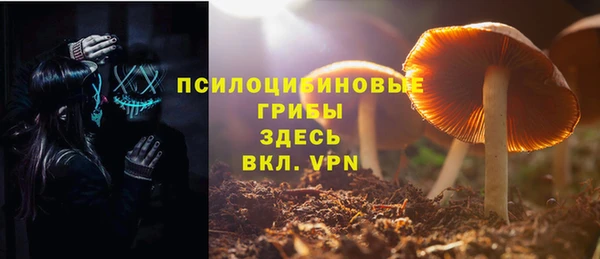 стаф Анжеро-Судженск