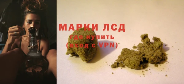 PSILOCYBIN Медвежьегорск