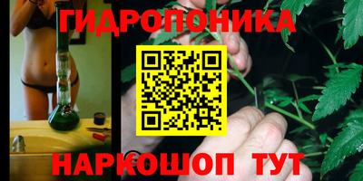 a pvp Кандалакша