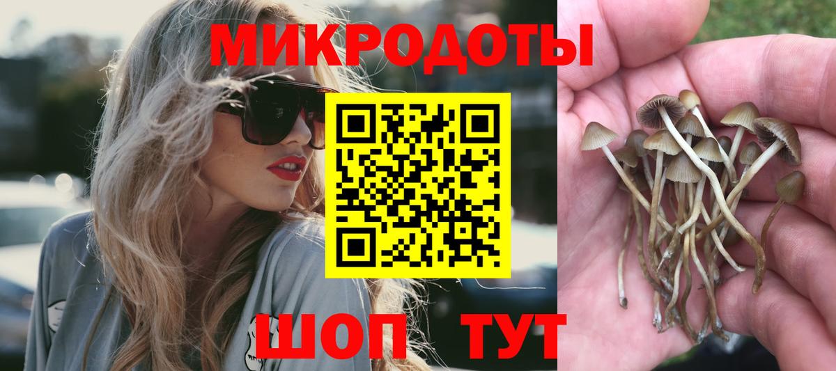 Галлюциногенные грибы прущие грибы Россошь